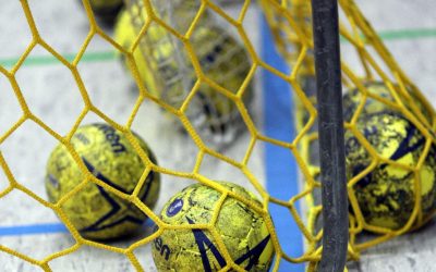 Falken HSG Bieberau/Modau – ESG Gensungen/Felsberg 32:38 (13:19)