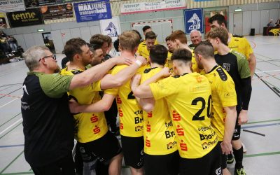 Falken TSG Groß-Bieberau – HSG Breckenheim/Wallau/Massenheim 32:25 (11:14)