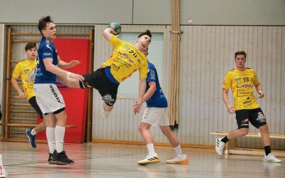 Testspiel Nr. 3 Falken HSG Bieberau/Modau – TSV Lohr