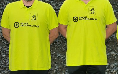 Falken HSG Bieberau/Modau stellen Trainer Björn Beilstein frei